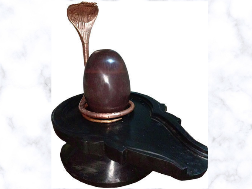  नर्मदेश्वर शिवलिंग  Narmadeshwar Shivling