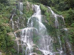 बान झाकरी